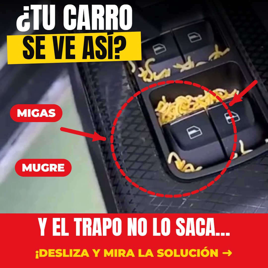 ¿Tu carro se ve así? Migas y mugre que el trapo no saca